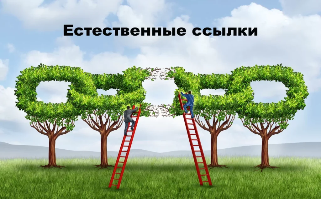 Естественные ссылки: что это, как купить их для сайта